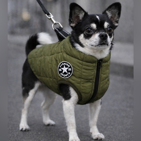 V Pet Other - Dogs Puffer Vest with Leash Attachment